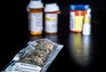 Texas Expansion of Medical Cannabis Nears Finish Line After Senate Approval