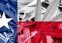 Lawmakers’ efforts to keep marijuana criminalized goes up in smoke