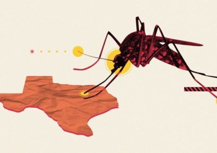Another Virus is Threatening Texans’ Health