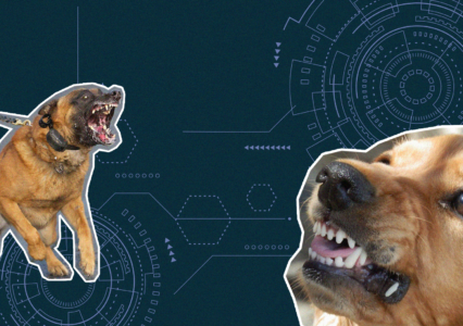 Houston Ranks No. 1, Dallas No. 5 for Postal Carrier Dog Attacks