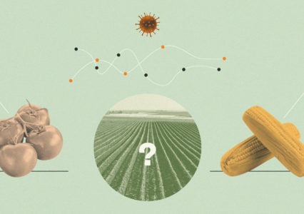 Houston Nonprofit Offers Local Alternative to Industrial Farms