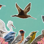 Turn Your Lights Off