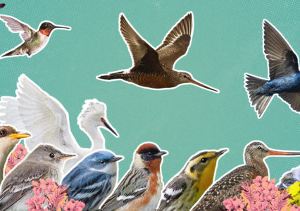 Turn Your Lights Off