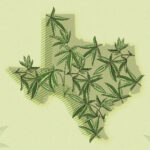 Anti-Pot Laws Are Driving Texans Out Of State
