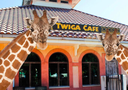 Dine With Giraffes At This Zoo Restaurant In Texas