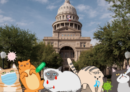 Rabies-Frenzied Cats Invade Texas