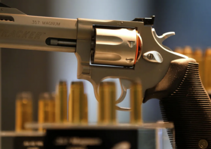 Texas Struggles to Get Guns Away from Domestic Violence Suspects, Leaving Victims in Danger