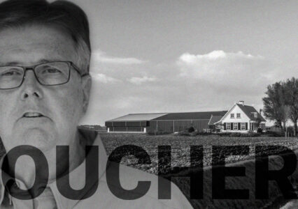 Vouchers Play A Prominent Role In November Election