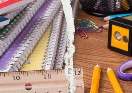 To Voucher Or Not To Voucher: Will Rural Schools Pay The Price?