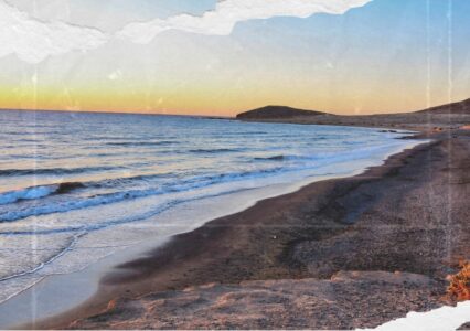 Coastal Conundrum — Who Would Benefit From Restricting Access To Texas Beaches?