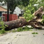 Four Dead After Storms Hit Houston: “One of the Most Ferocious Storms I’ve Ever Seen.”