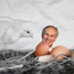 Is Abbott Counting His Chickens Before They Hatch?