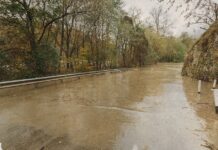 Floods, Maps, and THC: Texas Lawmakers Face High-Stakes Issues in Special Session