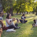 Can AI Really Help You Communicate With Your Pet? These Scientists Say Yes