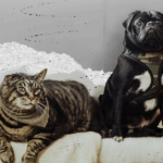 Hidalgo County Cracks Down on Roadside Animal Vendors